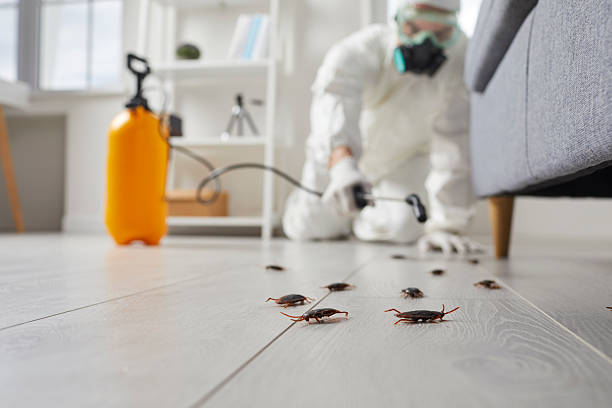 Post-Treatment Bed Bug Interceptor Monitoring in Louisville