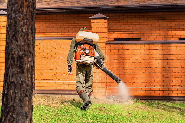 Bed Bug Clearance Verification and Documentation in Louisville